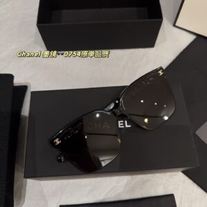 0754 Chain Temple Sunglasses