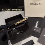 0754 Chain Temple Sunglasses