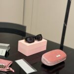 Glossy Oval Sunglasses